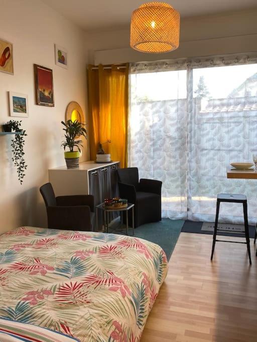 Le Cosy Tassin - Rez De Jardin Apartment Bagian luar foto